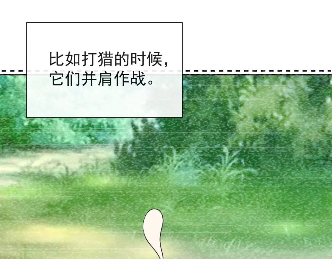 第五话-这野狐狸竟然是九昭蓉！26