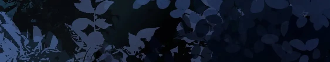 第三话-捡到一只小鸡仔10