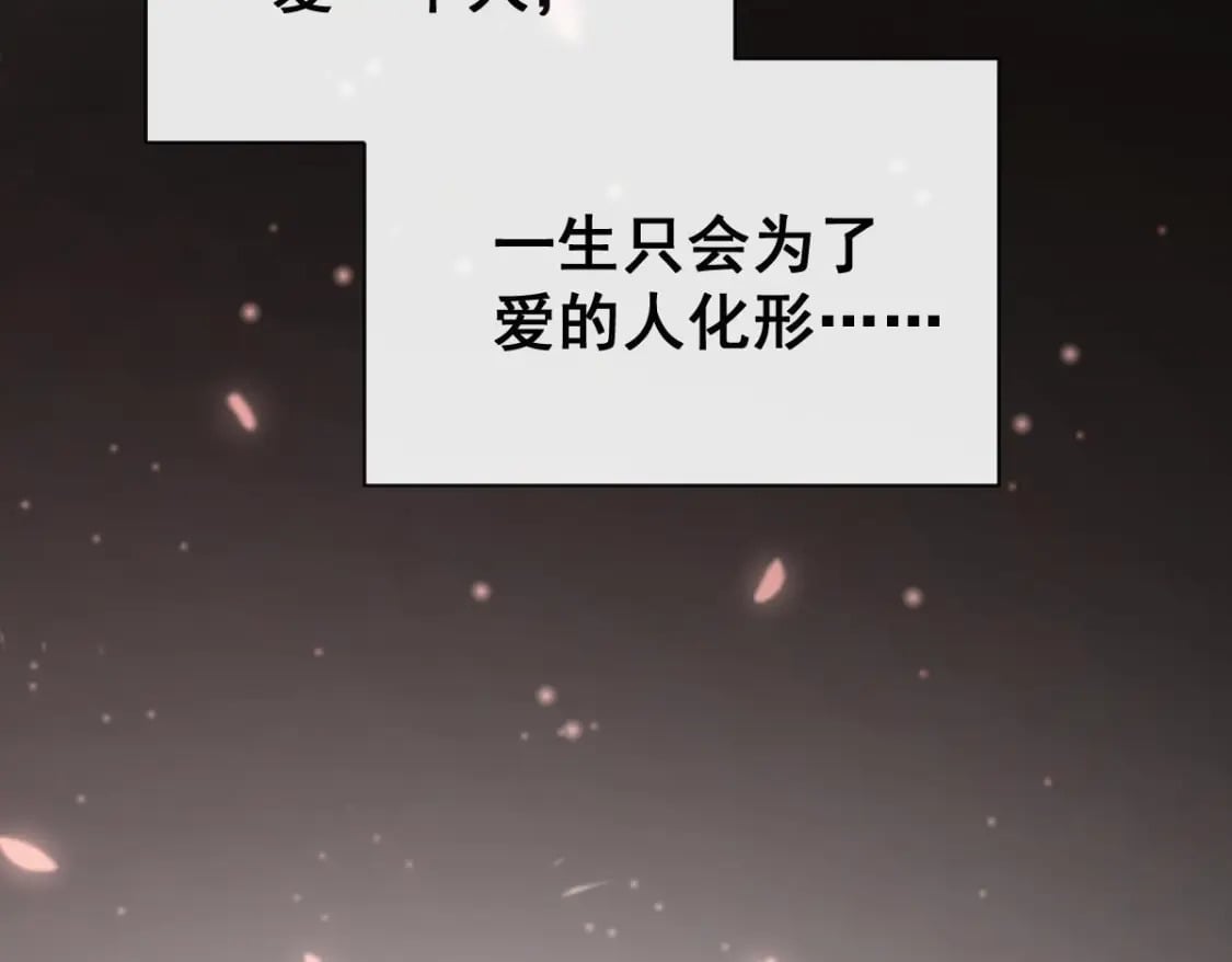 第十六话-我也可以为他穿上嫁衣54