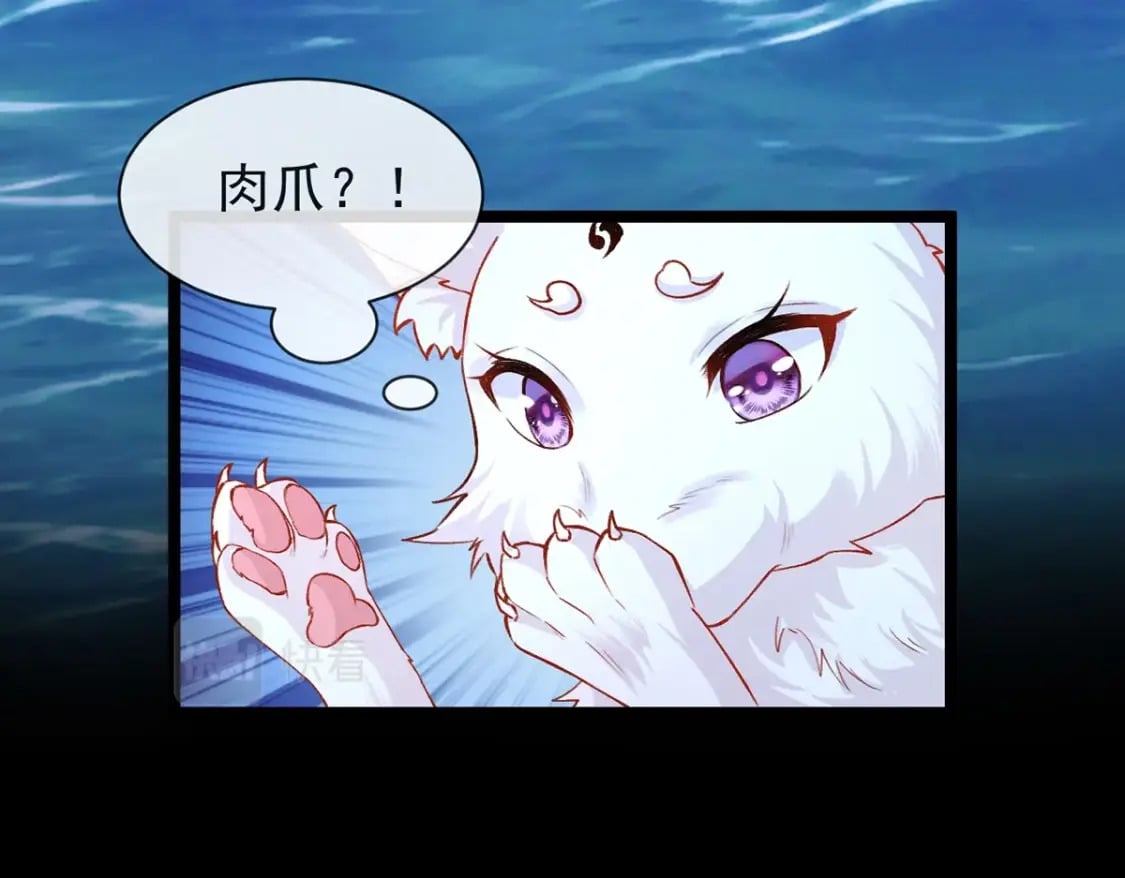 第二话-拔毛抽奖系统18