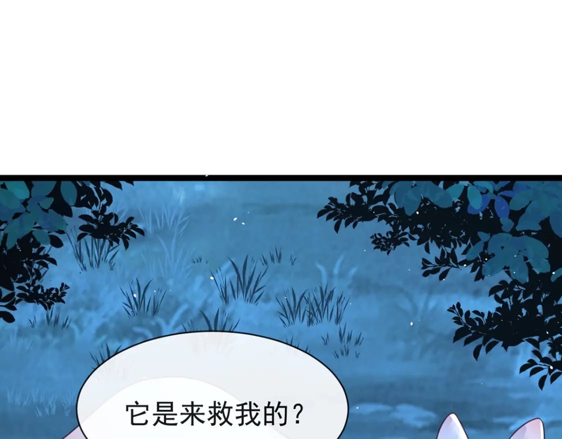 第四话-这狐狸救了我48