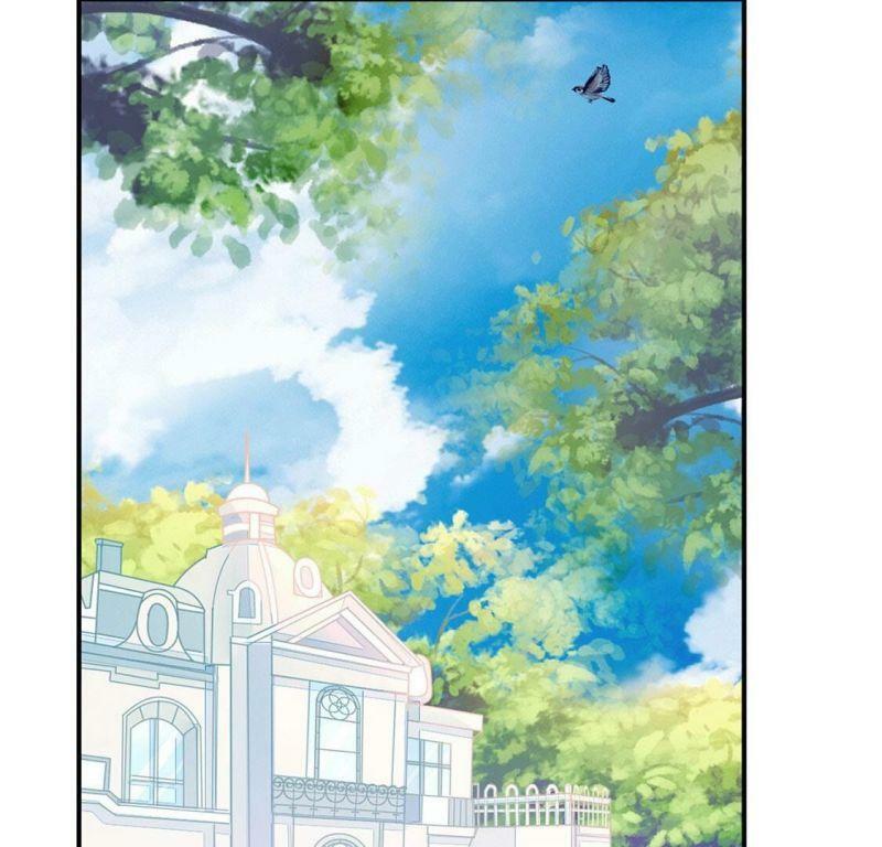 第42话 下跪磕头,赌局逆袭6