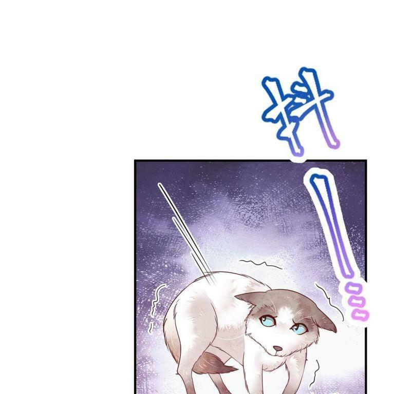 第37话 颜雪的阴谋13