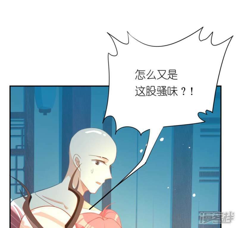 第24话 偷发大盗是狐狸？15