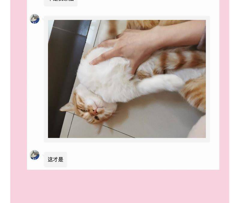第28话 竟然被她吸引了！88