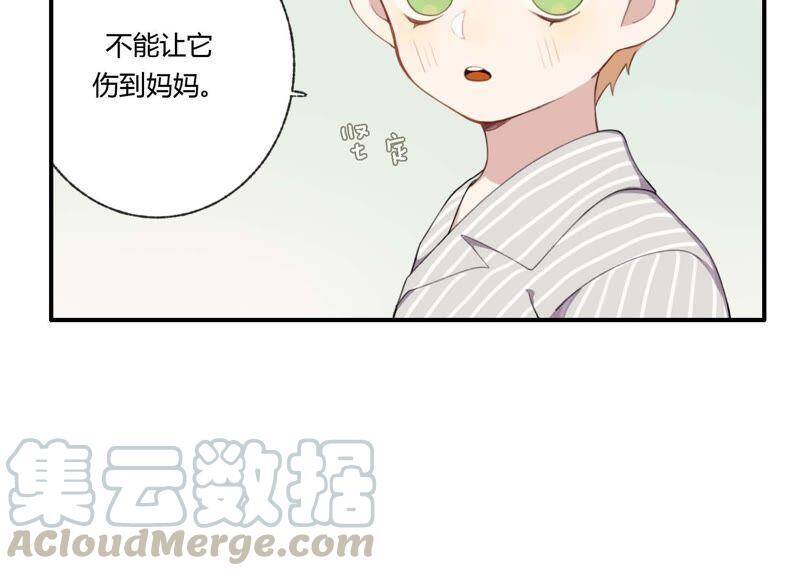 第36话 白鹿和妈妈60