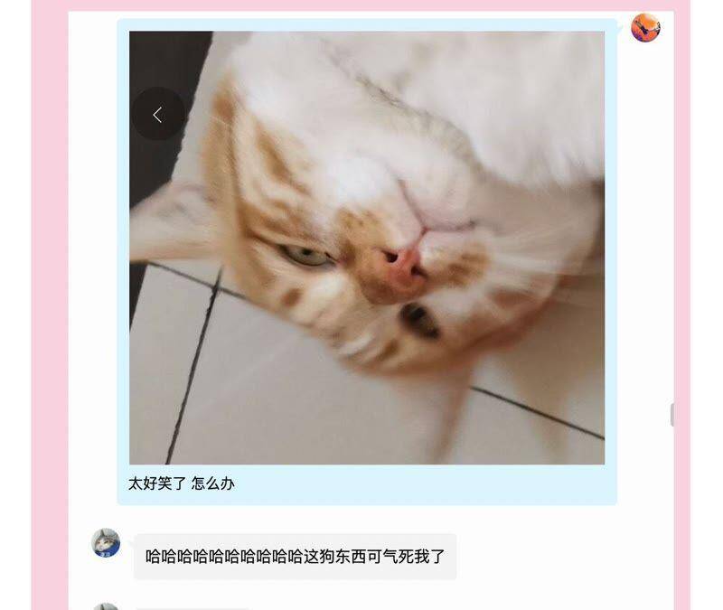 第28话 竟然被她吸引了！89