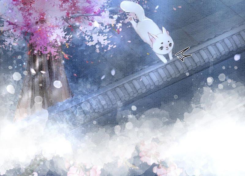 第5话 猫科动物的领地意识149