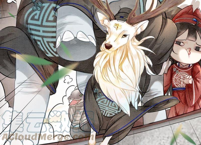 第5话 猫科动物的领地意识40