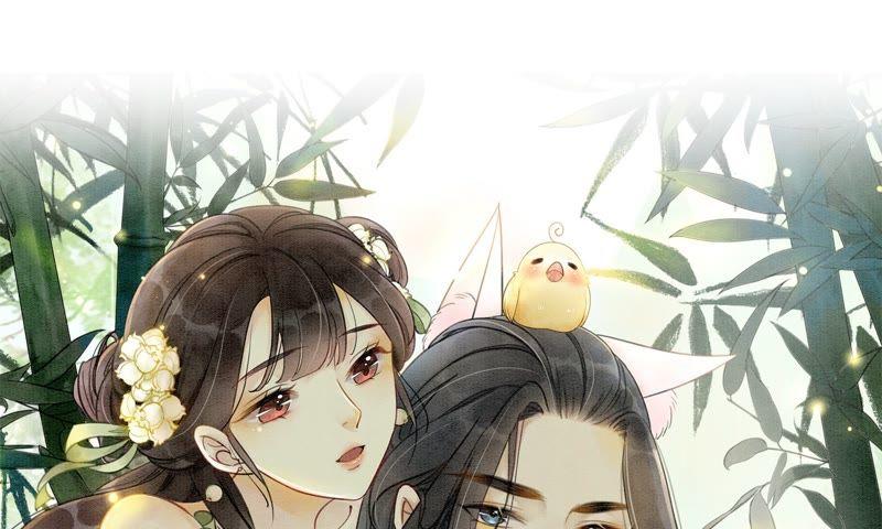 预告74