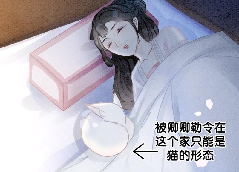 第36话 粉丝的自我修养119