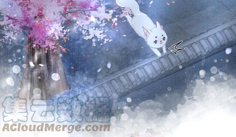 第6话 猫是鱼的天敌12