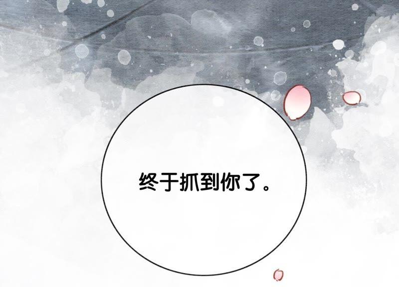 第5话 猫科动物的领地意识154