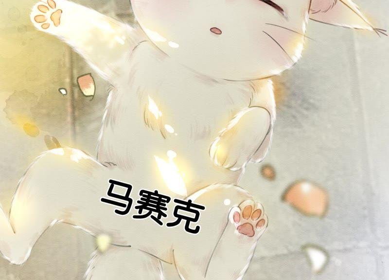 第4话 养宠物使人贫穷99