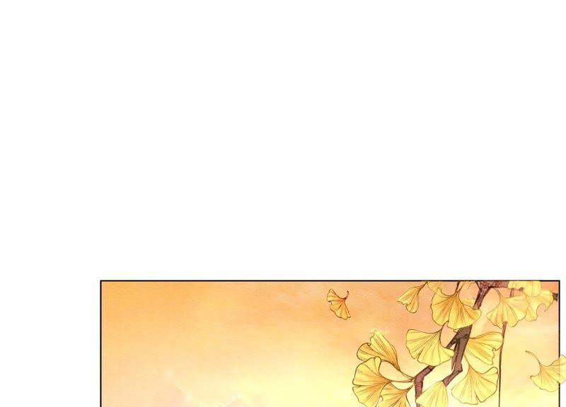 第5话 猫科动物的领地意识146