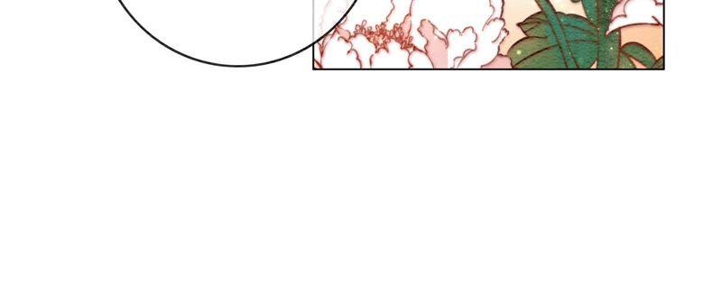 第5话 猫科动物的领地意识78