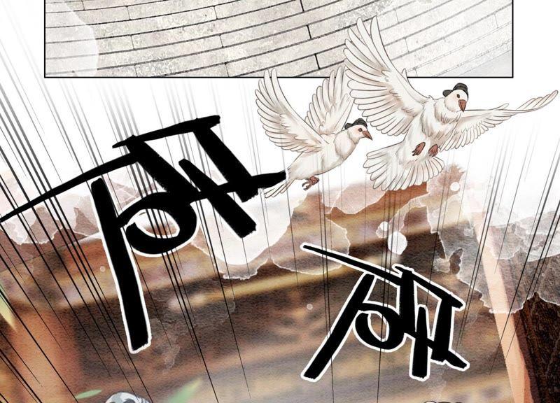 第5话 猫科动物的领地意识38