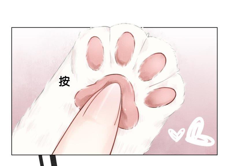 第4话 养宠物使人贫穷102