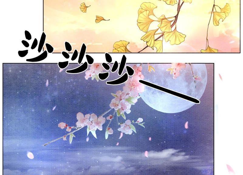 第5话 猫科动物的领地意识147