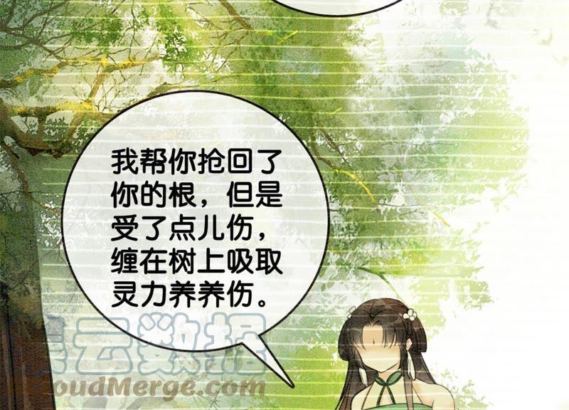 第18话 草木之约60