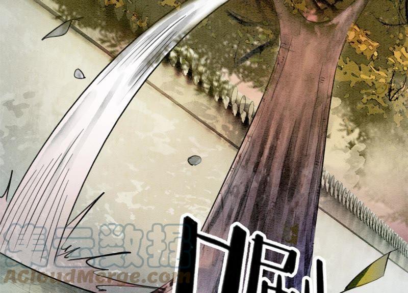 第6话 猫是鱼的天敌8