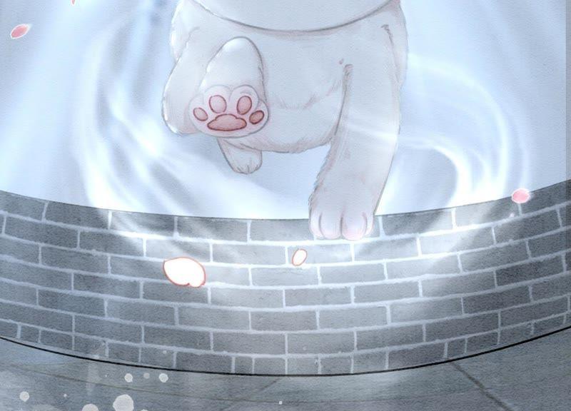第5话 猫科动物的领地意识153