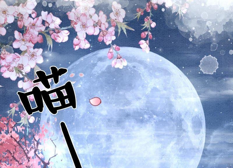 第5话 猫科动物的领地意识150