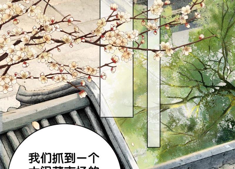 第20话 喵喵和苗苗26