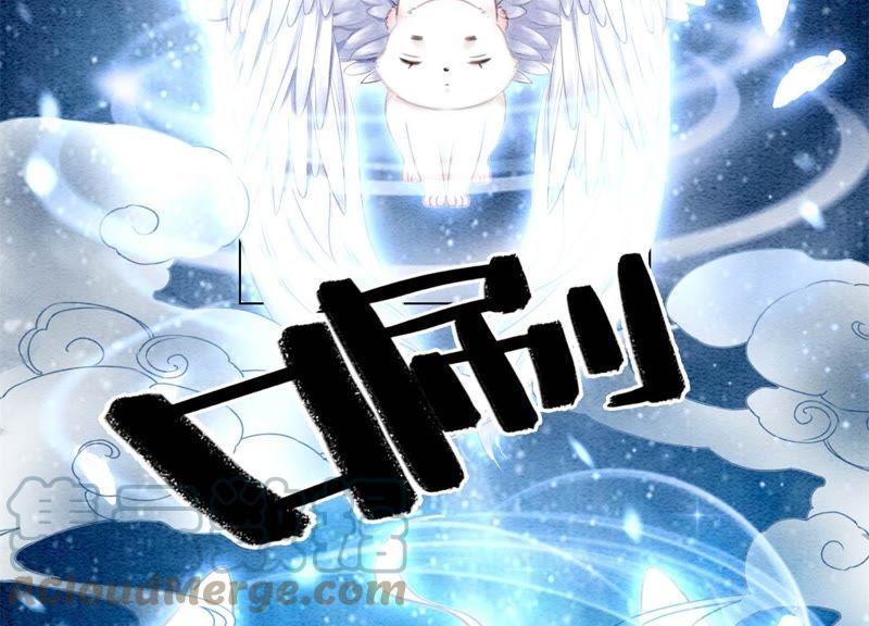 第12话 正规组织庄十三帮164