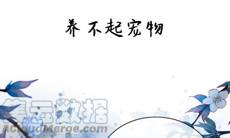 预告30