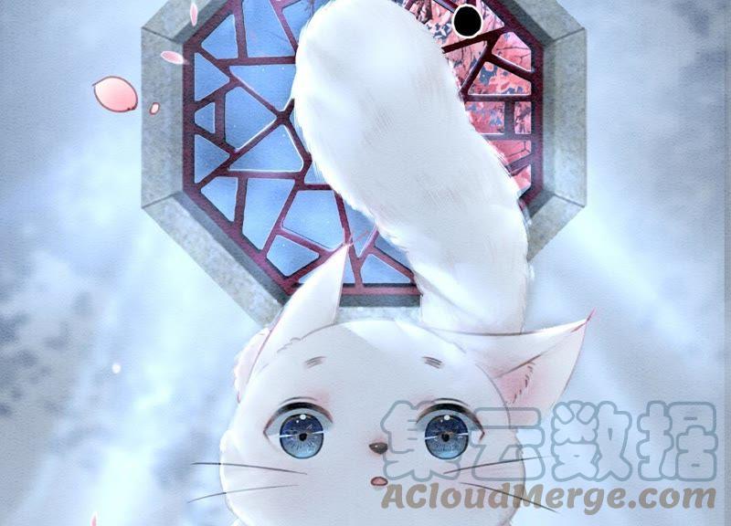 第5话 猫科动物的领地意识152