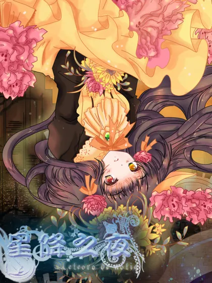 星降之夜