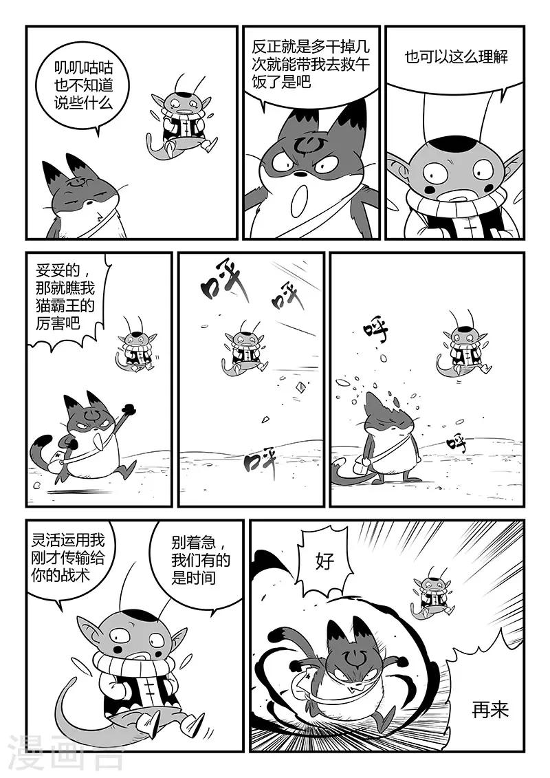 第248话 特训与特训之外1