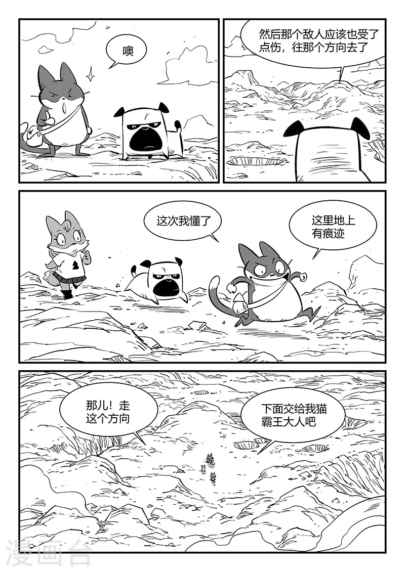 第315话 分头行动11