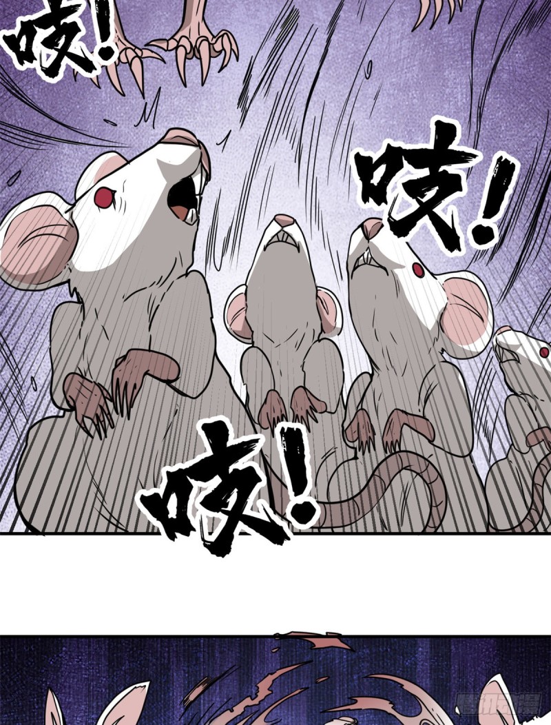 57 疯狂的老鼠35