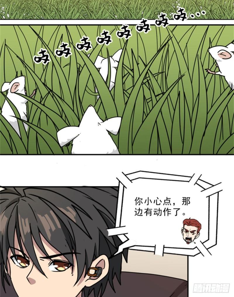 59	赌一把31