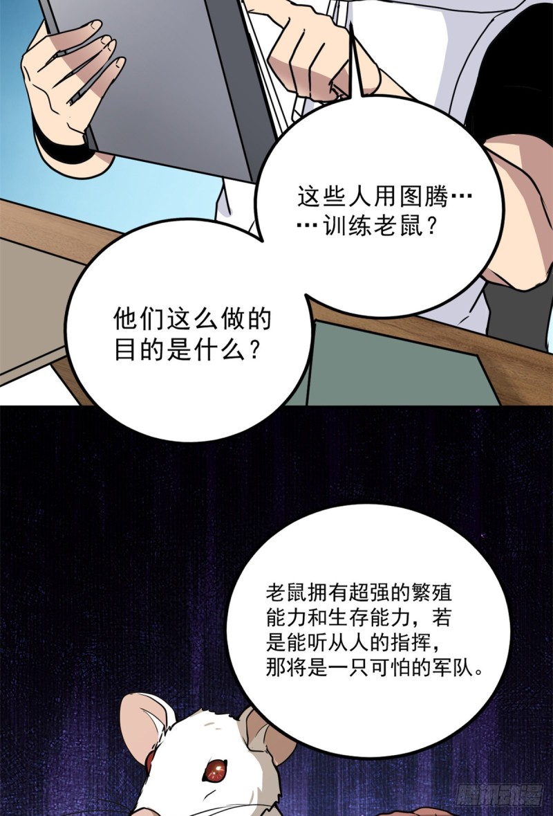 57 疯狂的老鼠23