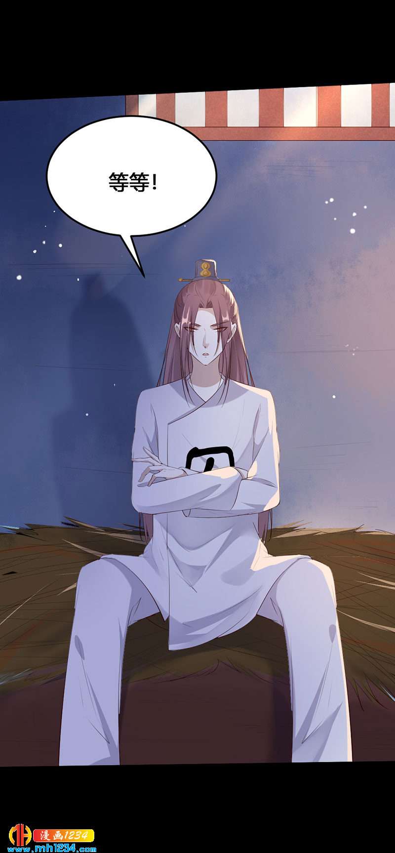 第114话 先帝的秘密25