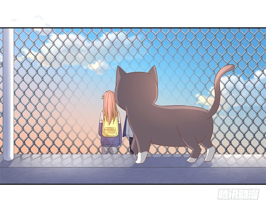62 我有特殊的交通方式23