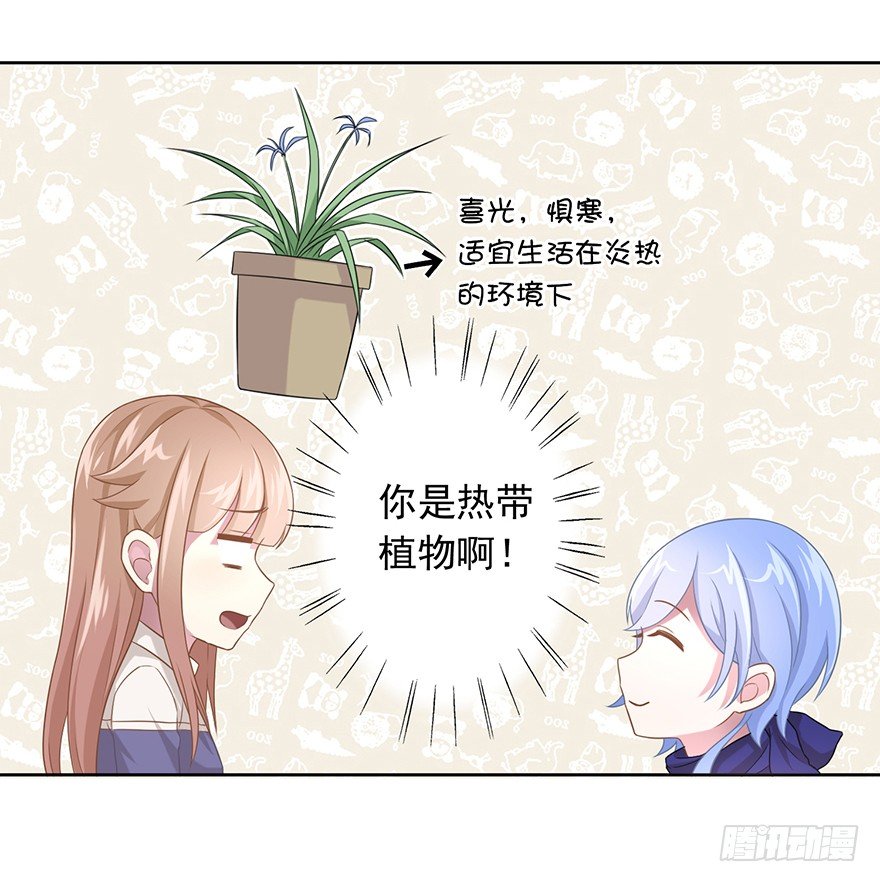 50 又要打boss了！34