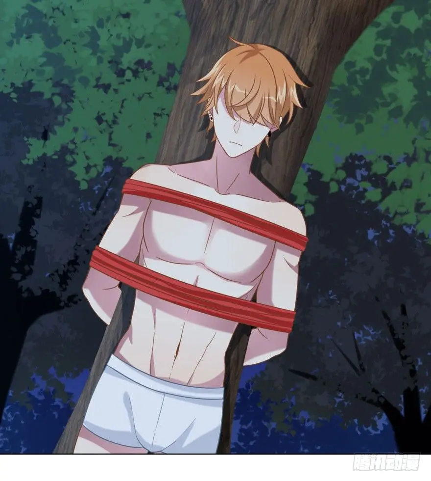 27 小树林play.jpg3