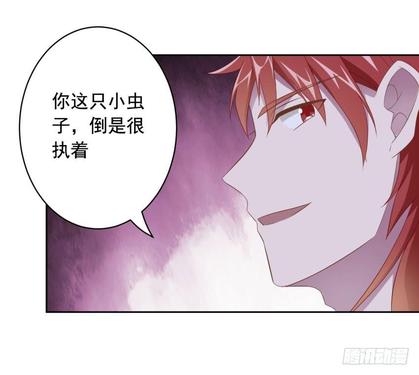 73 所谓毁灭24