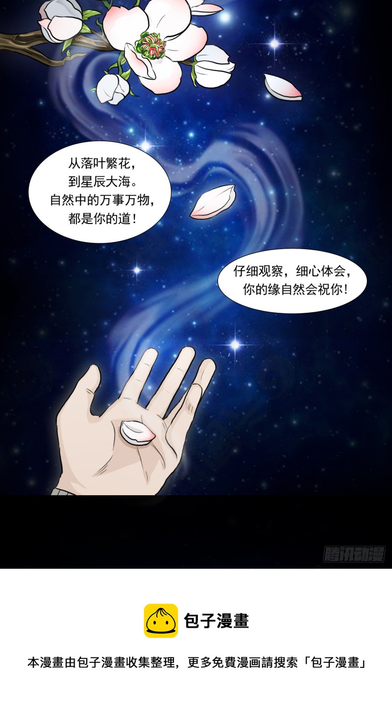 仙8