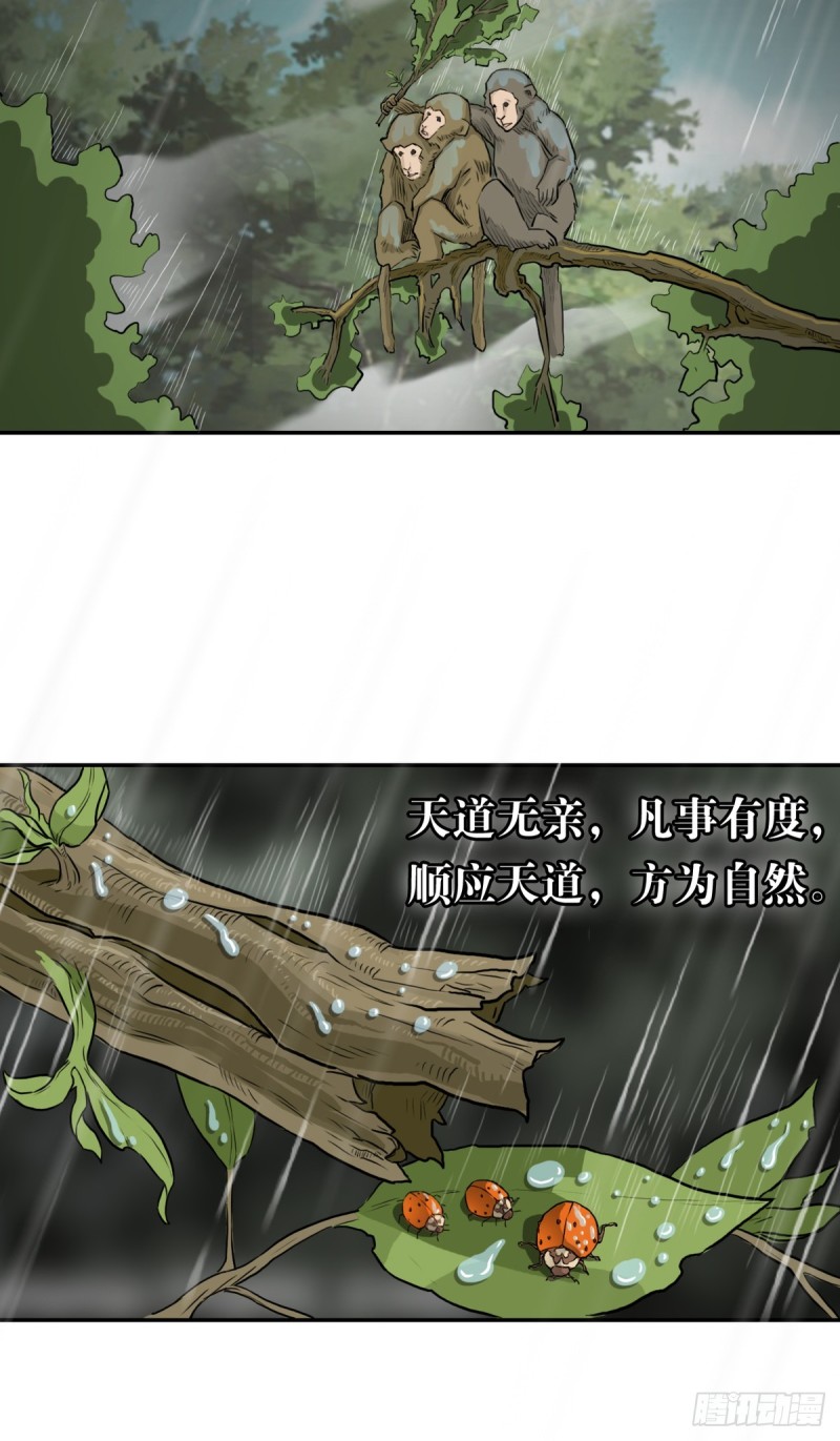 回41