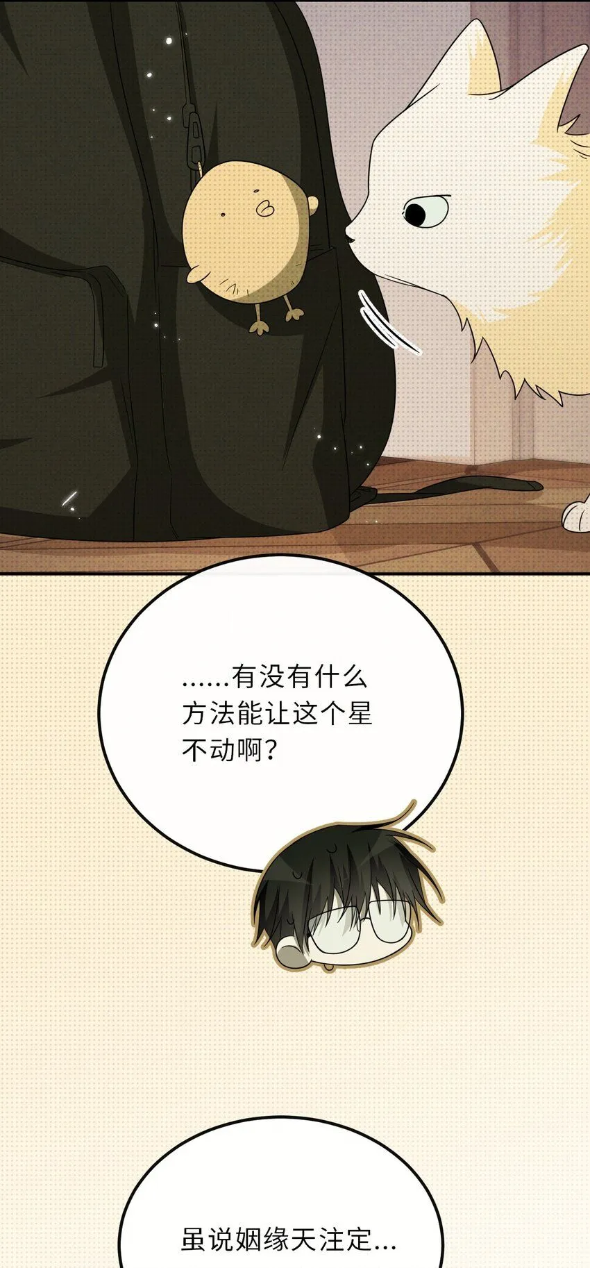 025 老高要谈恋爱了6