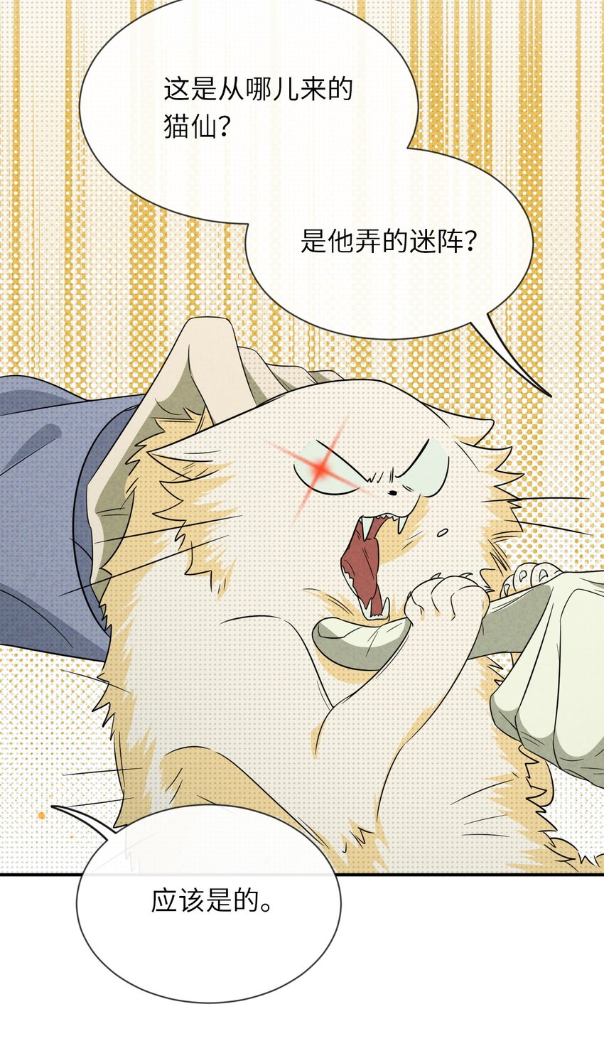 007 猫仙，暗涌的阴谋38