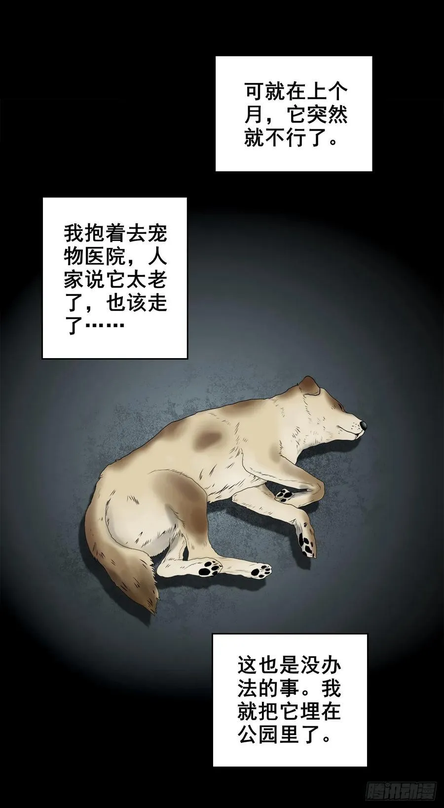 【壹佰陆拾叁】水鬼，姑娘和狗19