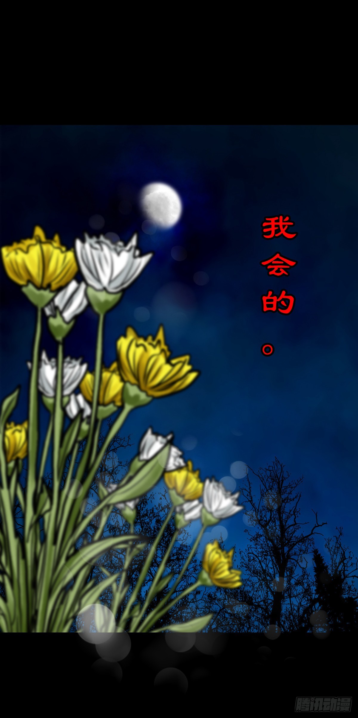 【伍拾伍】木存于林18