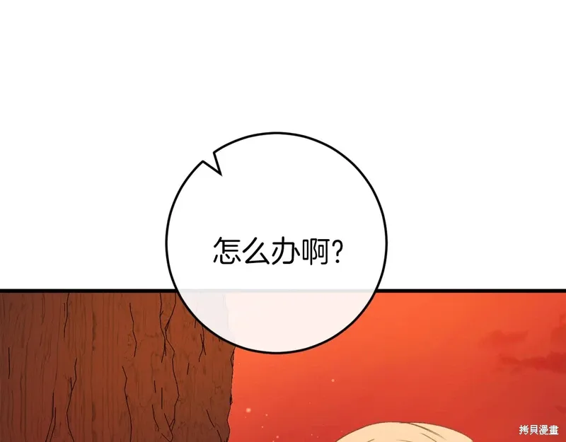 第39话244