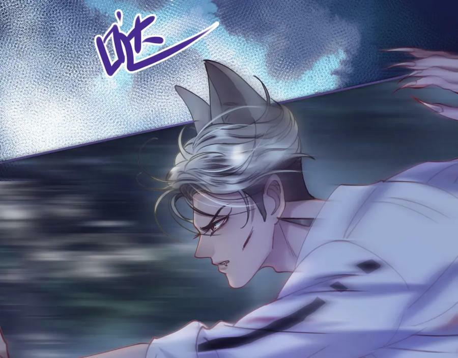 第十七回 斗狐56